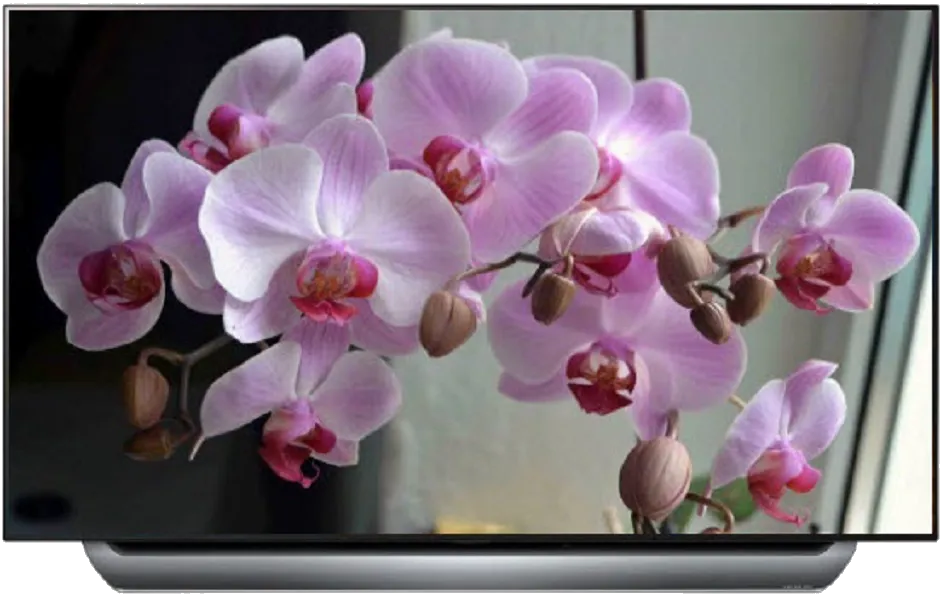 Замена блока питания LG 55LA961