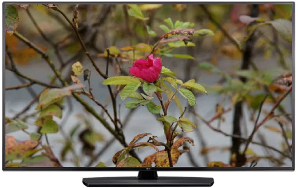 Замена блока питания LG 55LV541